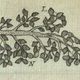 Illustration for article titled How 17th Century Artists Helped Make the Microscopic World Visible